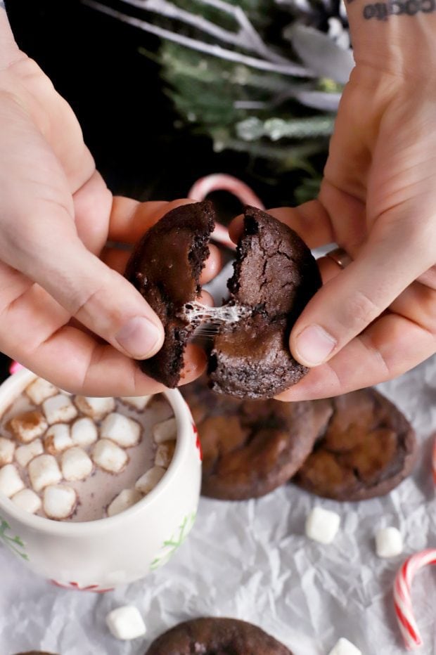 Peppermint Hot Chocolate Cookies