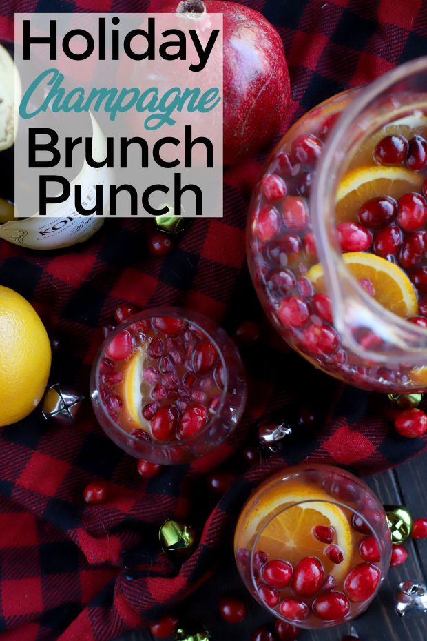 Sparkling Holiday Brunch Punch