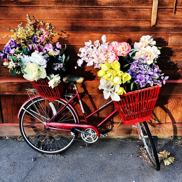 Spring flowers in a bicycle