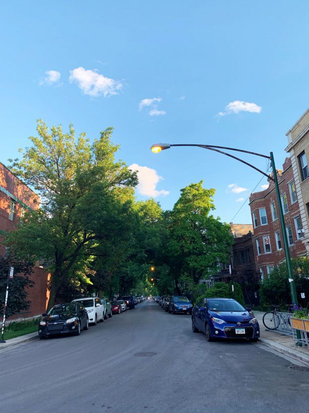 Streets of Chicago cars and trees