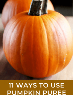 11 Ways To Use Pumpkin Puree Pinterest Image