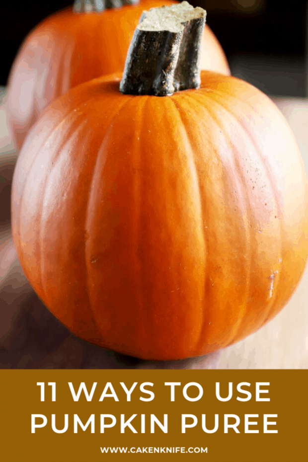 11 Ways To Use Pumpkin Puree Pinterest Image