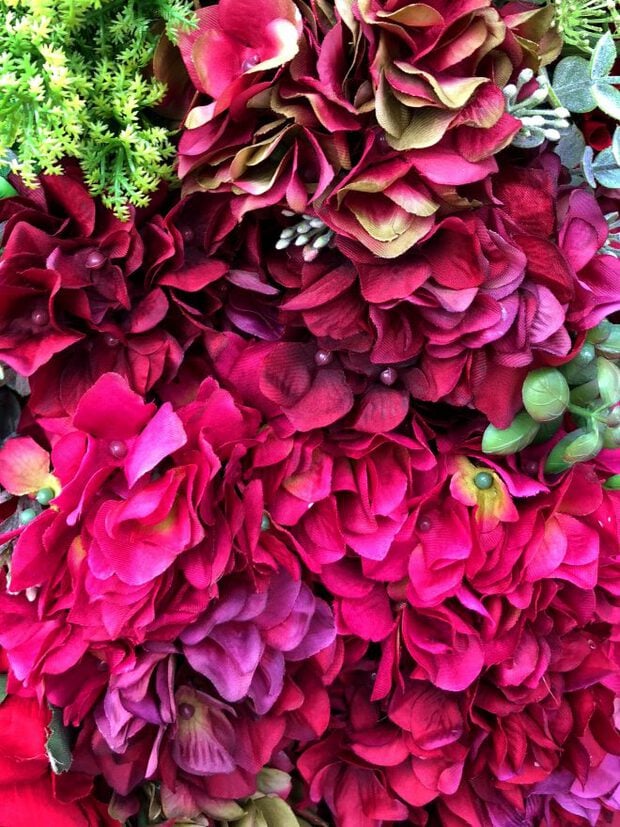 Beautiful blooming flowers