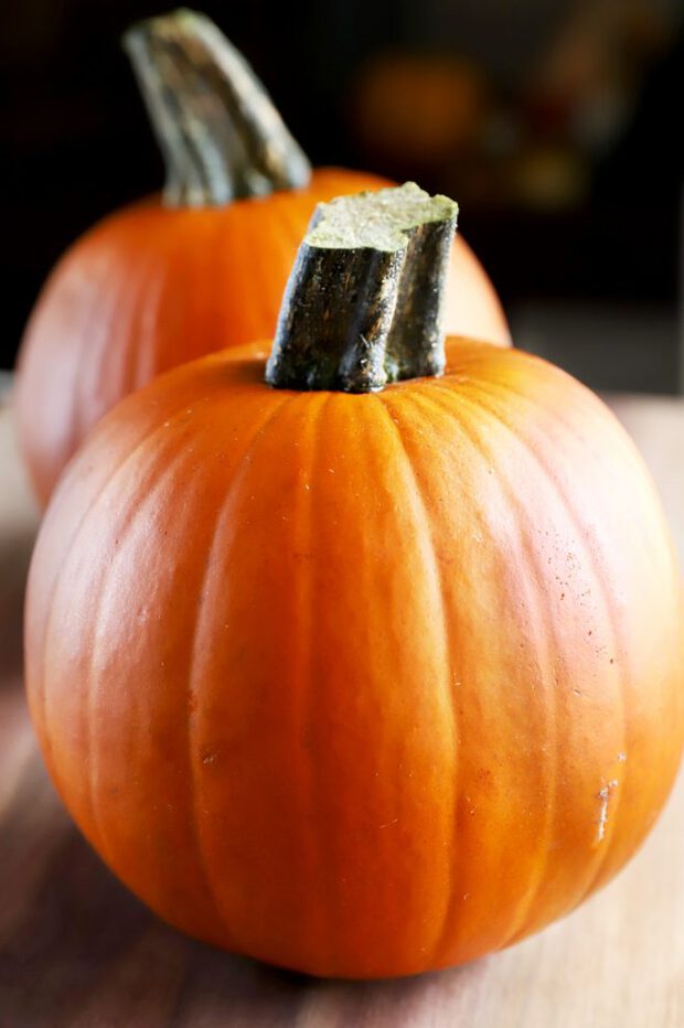 Photo of two pie pumpkins