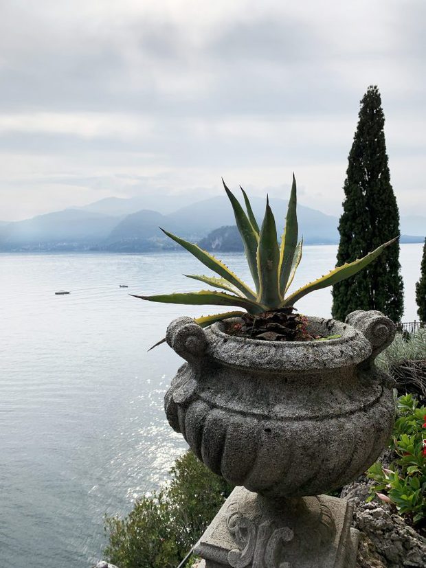 Overlooking Lake Como from Varenna Gardens