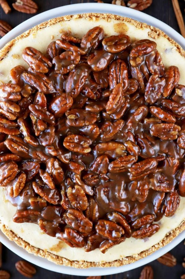 Thanksgiving cheesecake with pecans