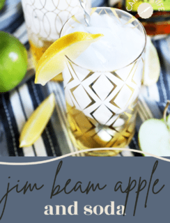 Jim Beam® Apple and Soda Pinterest Picture