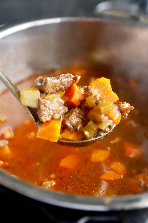 Instant Pot stew in ladle photo