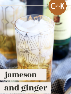 Jameson and Ginger Pin image