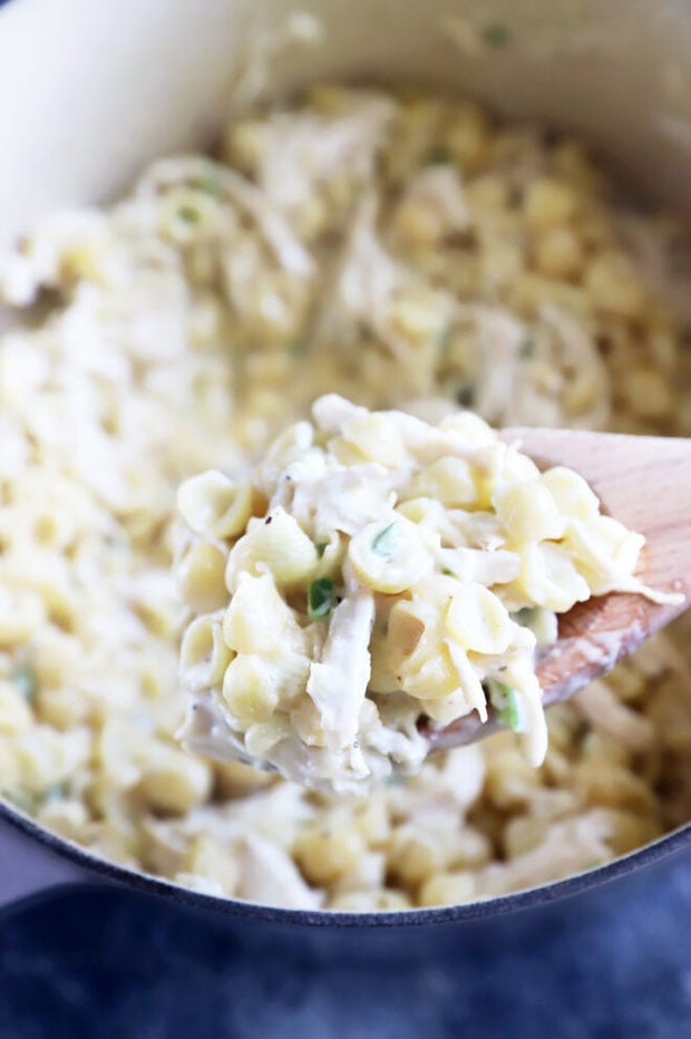 Spoonful of creamy mac and cheese photo