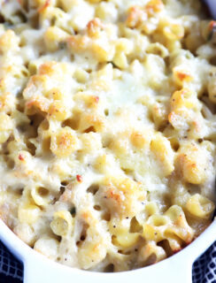 Jalapeño Chicken Havarti Mac and Cheese in baking dish photo