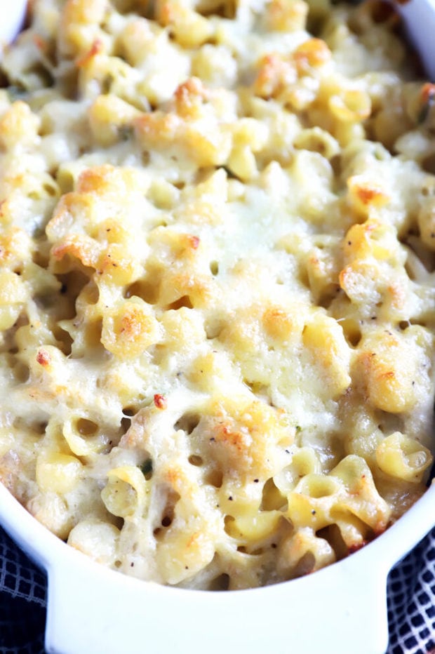 Jalapeño Chicken Havarti Mac and Cheese in baking dish photo