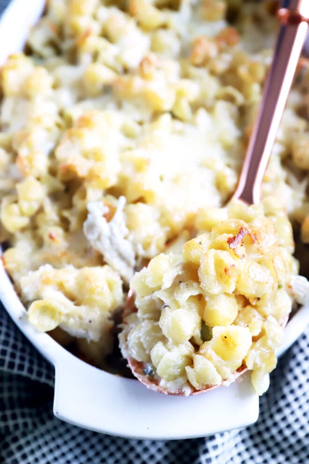 Spoonful of baked chicken mac and cheese