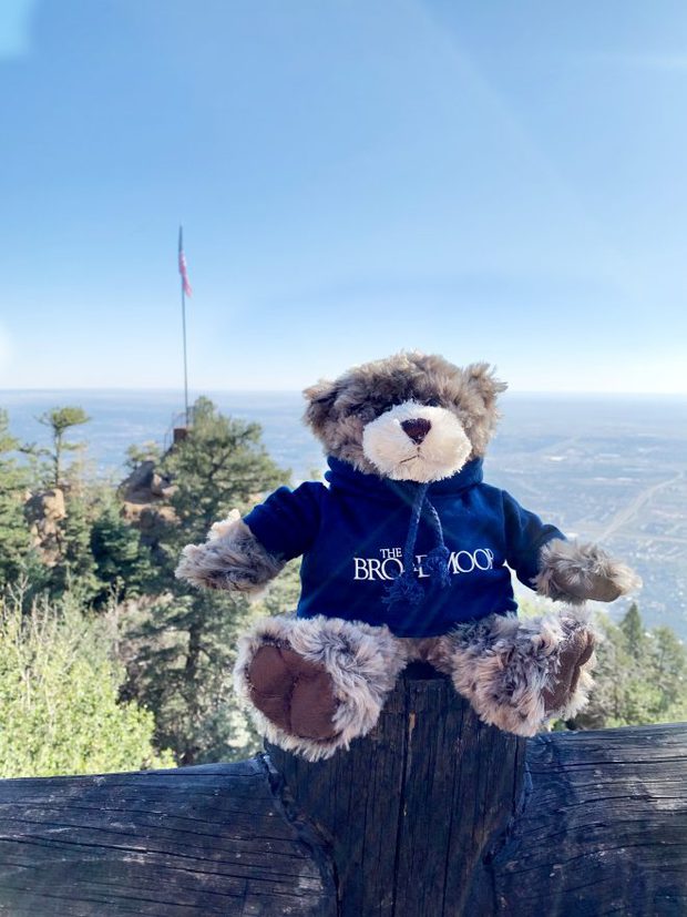 The Broadmoor bear at Cloud Camp image