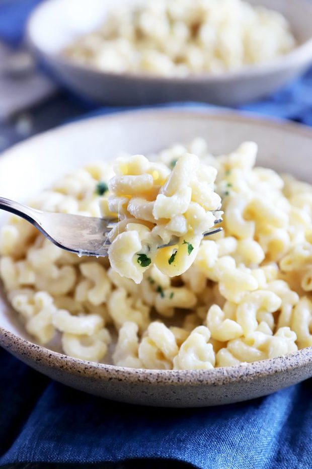 Fork full of cheesy pasta image