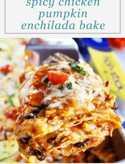 Spicy Black Bean Chicken Pumpkin Enchilada Bake Pinterest Graphic