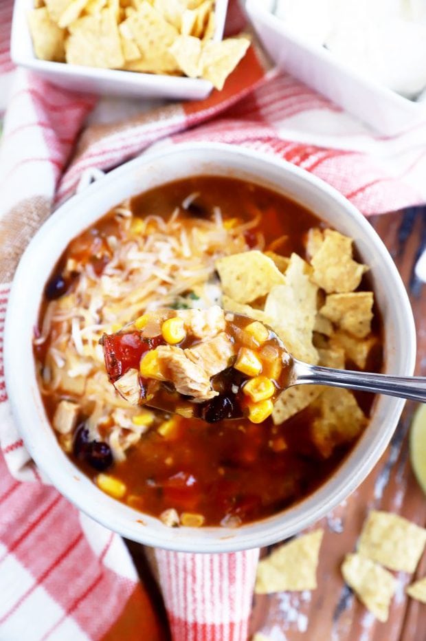 spoonful of turkey soup image
