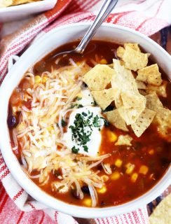IP BBQ Turkey Enchilada Soup Thumbnail