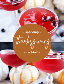 Sparkling Thanksgiving Cocktail Pinterest Picture