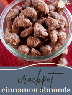 Crockpot Cinnamon Almonds Pinterest picture