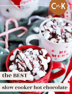 The Best Slow Cooker Hot Chocolate Pinterest Photo