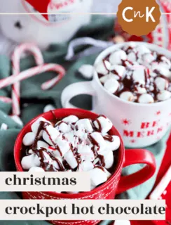The Best Slow Cooker Hot Chocolate Pinterest Image
