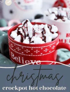 The Best Slow Cooker Hot Chocolate Pinterest Graphic