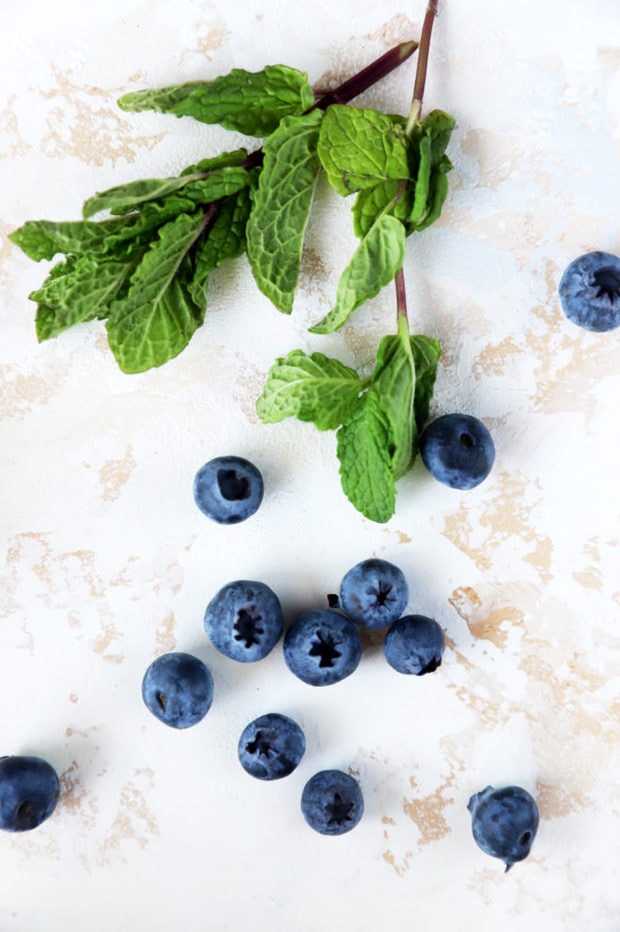 Blueberries and mint image