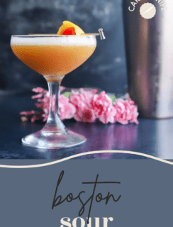 Boston Sour Cocktail Pinterest Picture