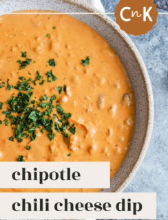 Chipotle Chili Cheese Dip Pinterest Picture