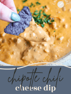 Chipotle Chili Cheese Dip Pinterest Image