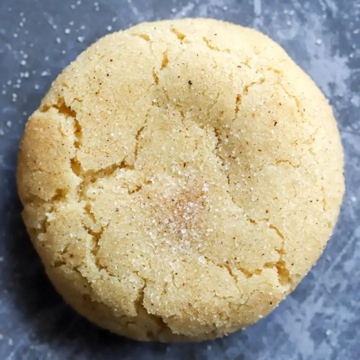 Single snickerdoodle cookie on sheet pan photo