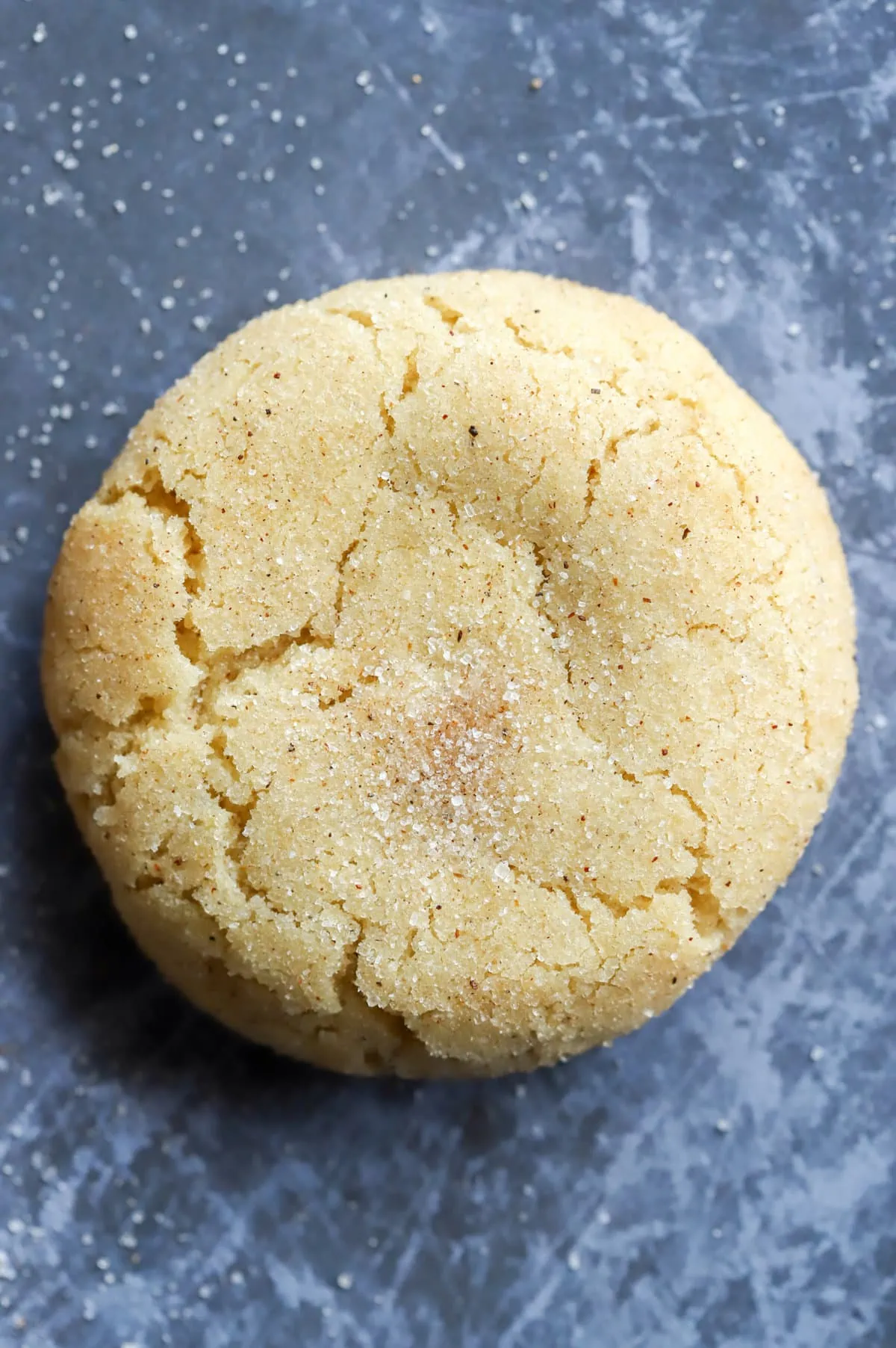 Single snickerdoodle cookie on sheet pan photo