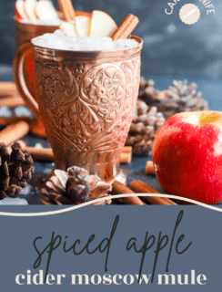 Spiced Apple Cider Moscow Mule Pinterest Picture