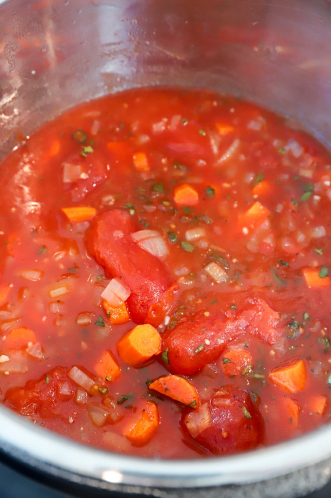 Instant pot soup ingredients before cooking photo