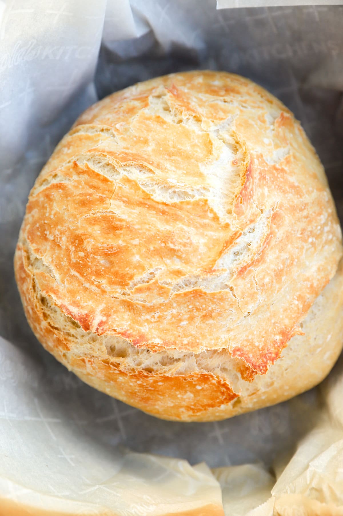 Dutch Oven Bread {No Knead!} - The Seasoned Mom