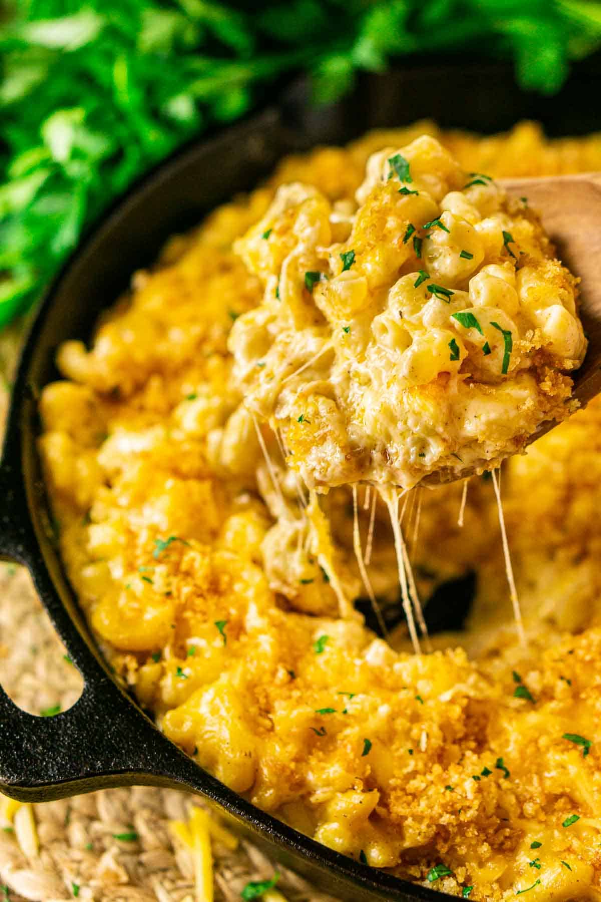 smoked mac and cheese Pulled Pork Side Dishes image