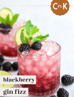 Blackberry gin fizz pin image