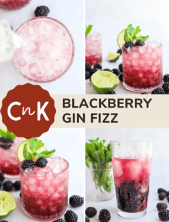 Blackberry gin fizz pin graphic
