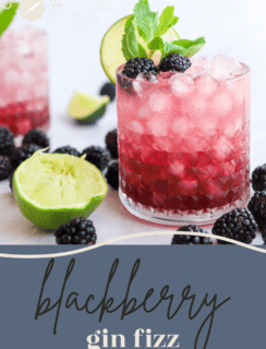 Blackberry gin fizz pin picture
