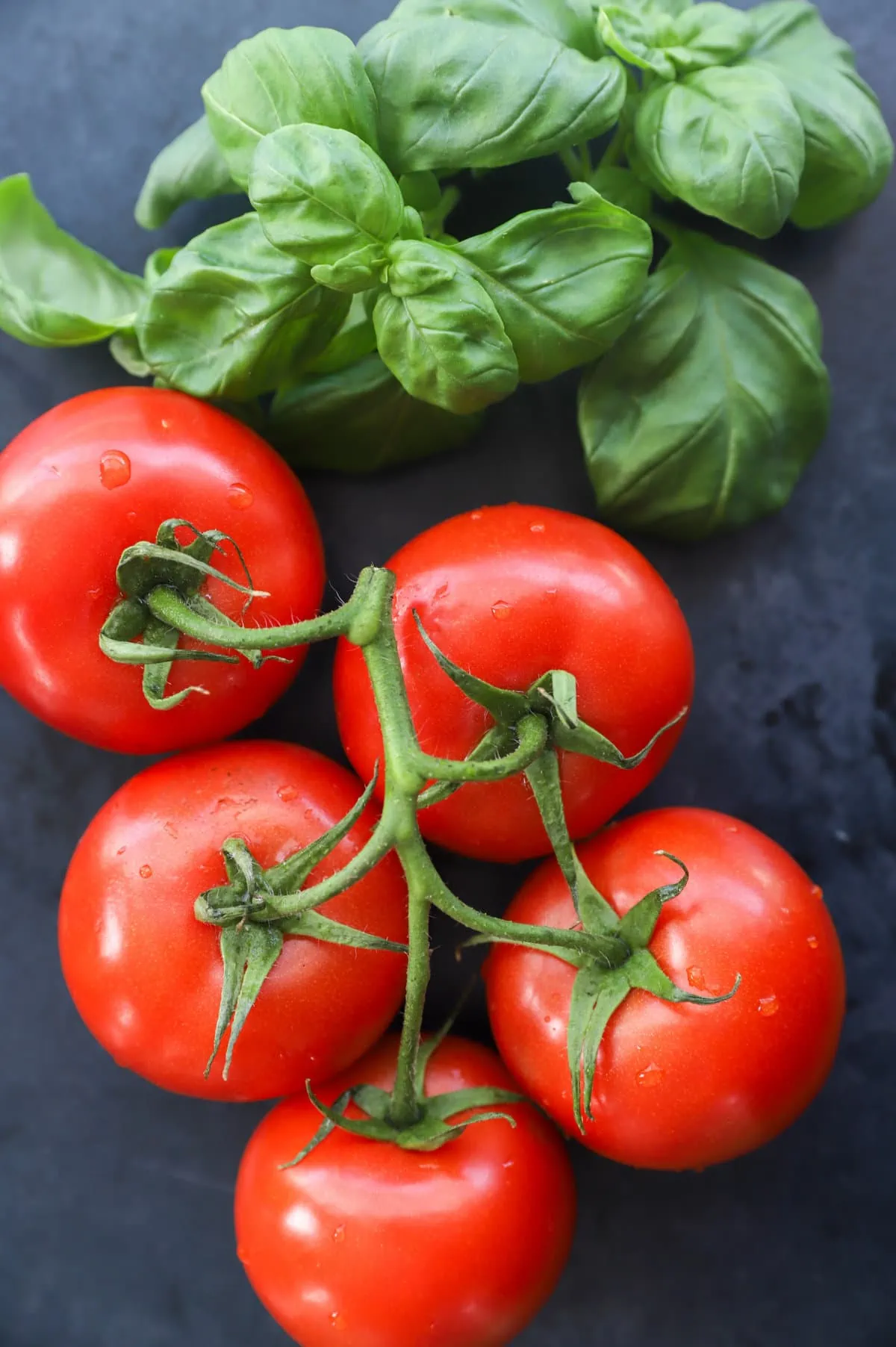 Tomatoes and basil on a table image