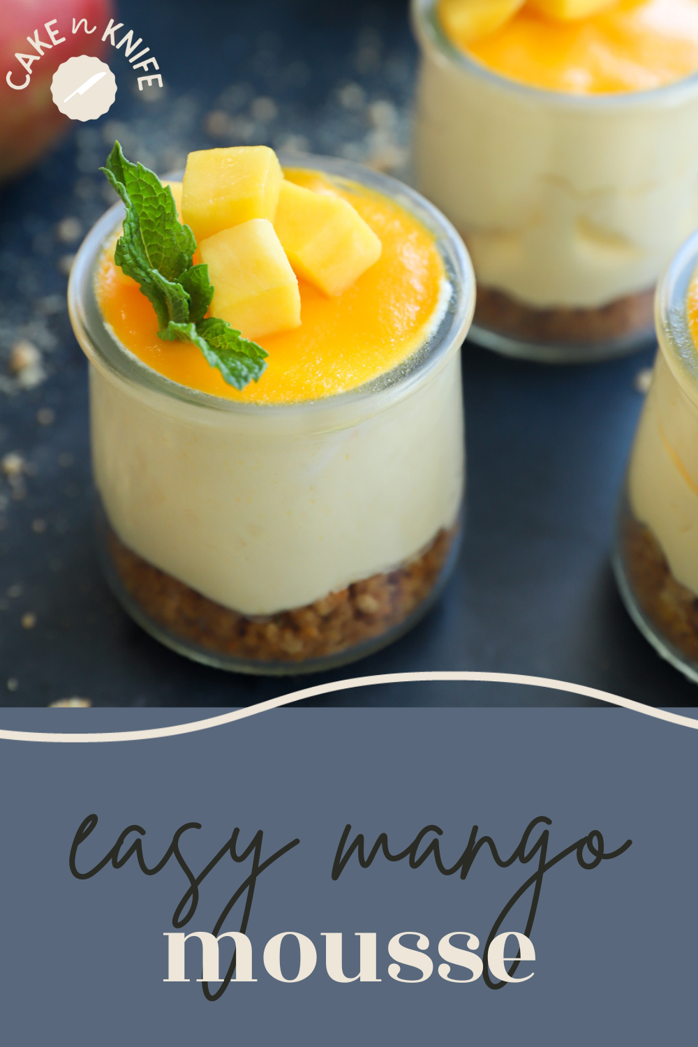 Pinterest Graphic Mango Mousee