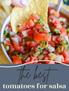 The best tomatoes for salsa Pin 1