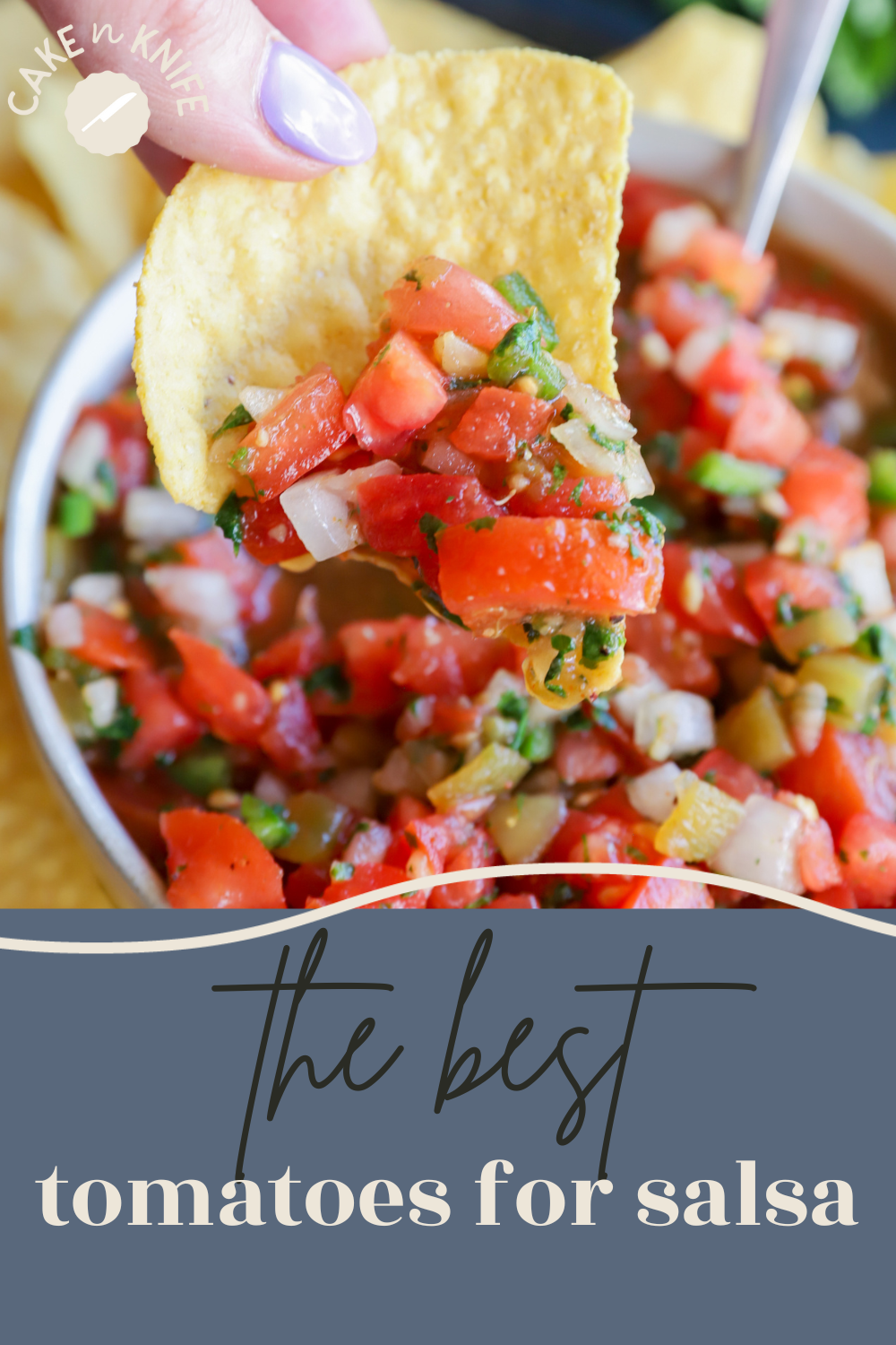 The Best Tomatoes for Homemade Salsa Cake 'n Knife