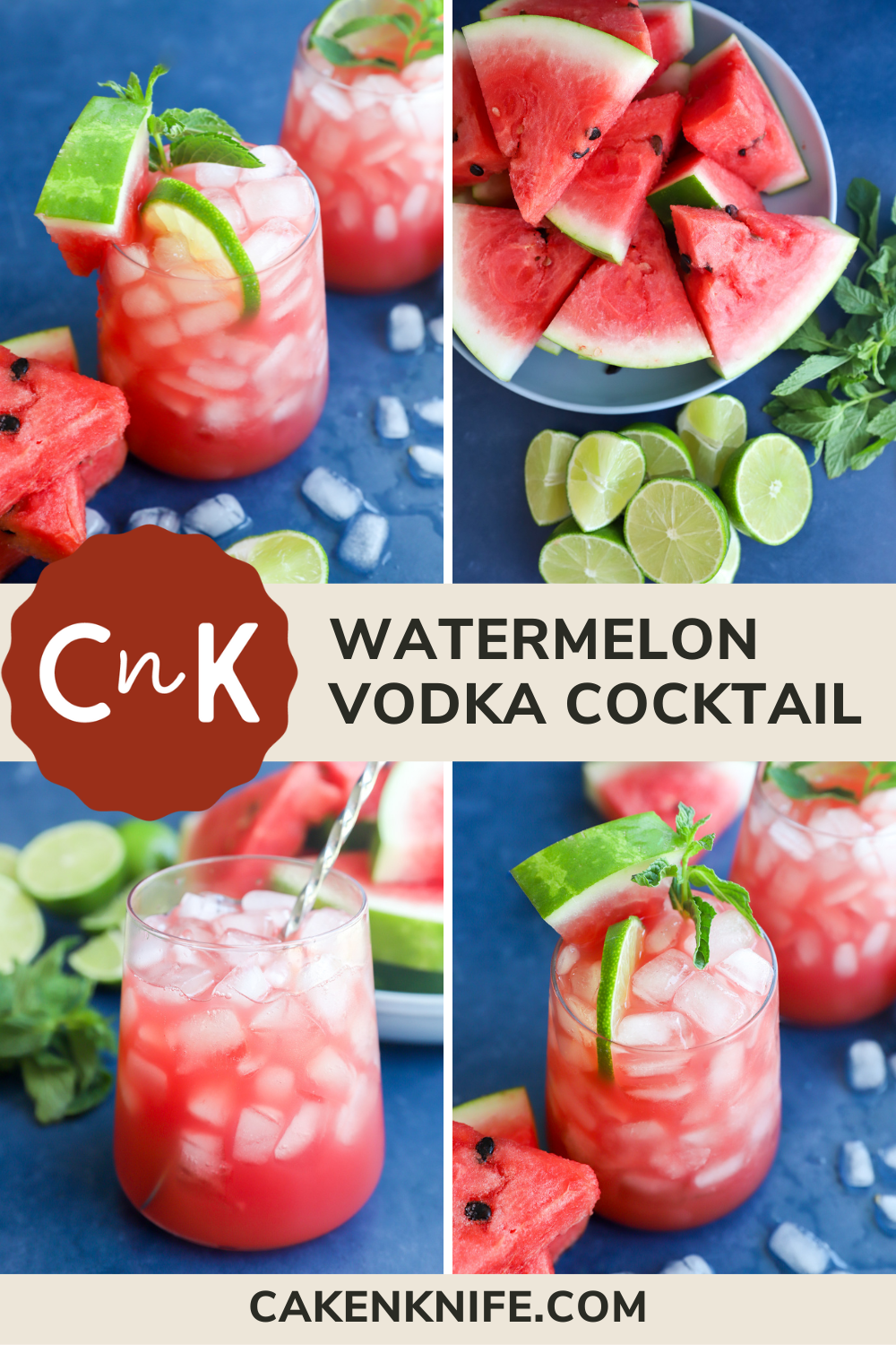 Watermelon Vodka Cocktail made with Blended Fresh Watermelon