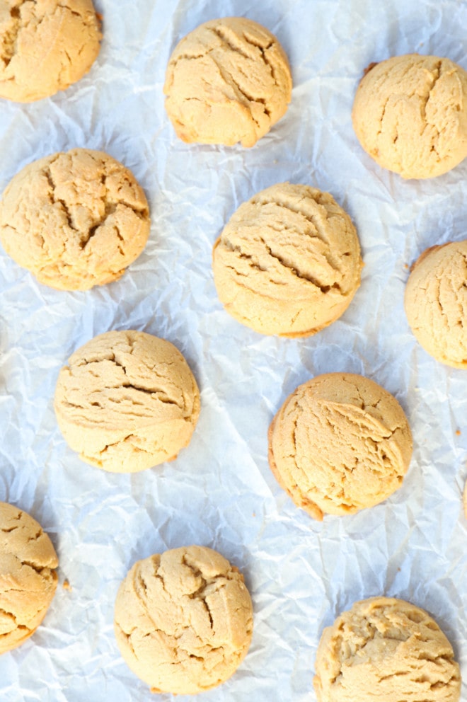 just baked cookies on cookie sheet