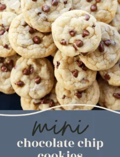 Mini Chocolate Chip Cookies Pinterest Photo