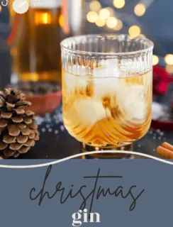 Homemade Christmas gin pinterest picture