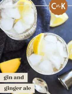 gin buck pinterest image