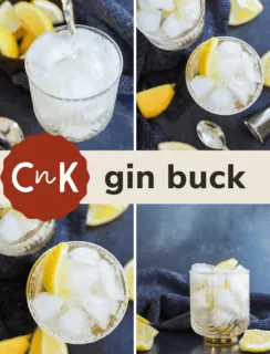 gin and ginger ale pinterest pic